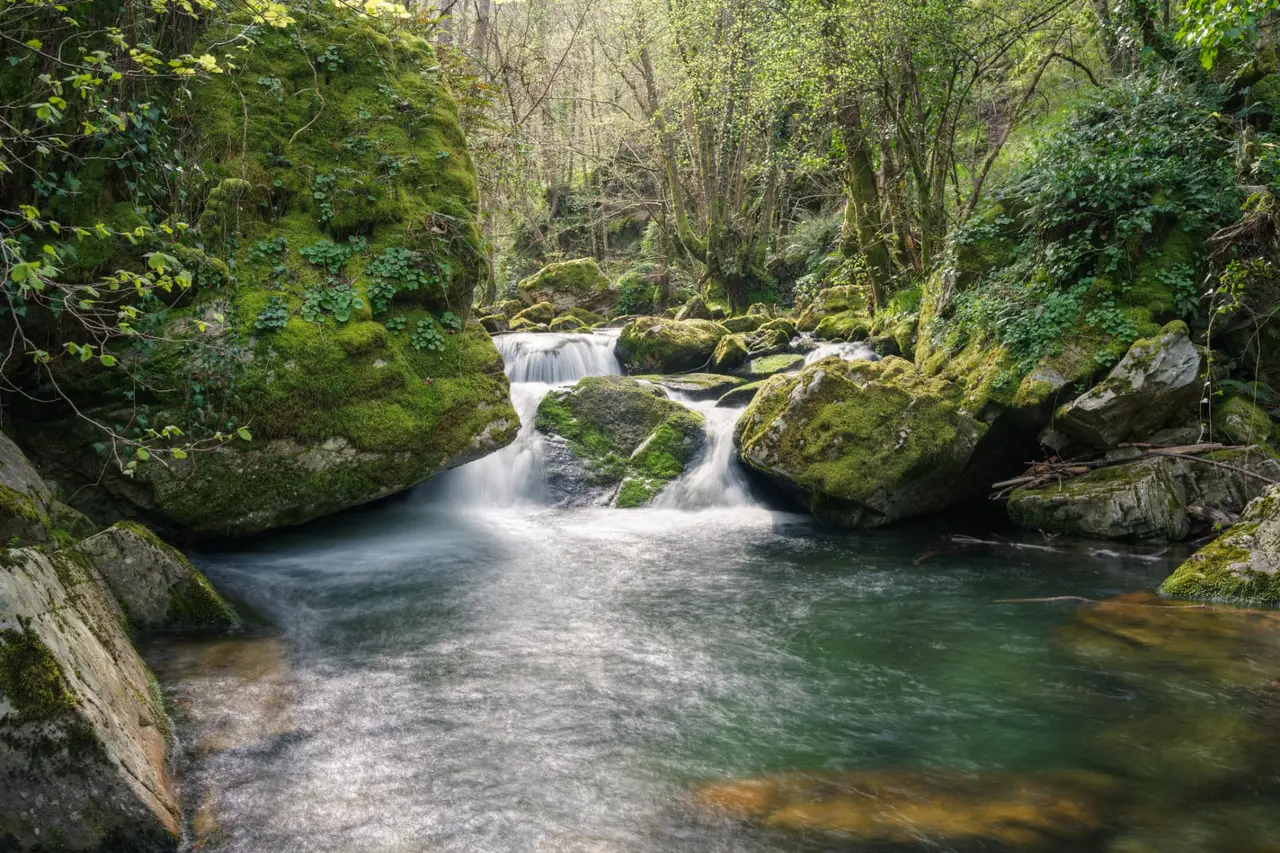 Agua en movimiento entre rocas cubiertas de musgo